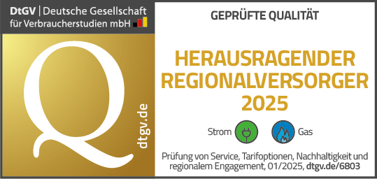 Dtgv Siegel Herausragend Regionalversorger Strom+gas Quer 190x90mm Vorlage Neu