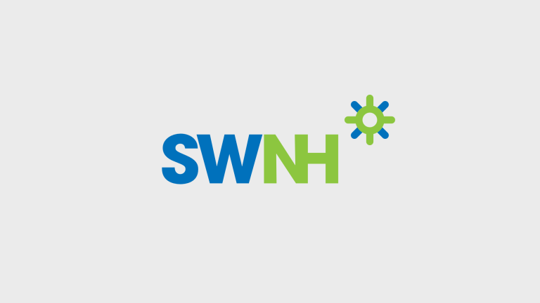 Swnh Blogartikel Platzhalter