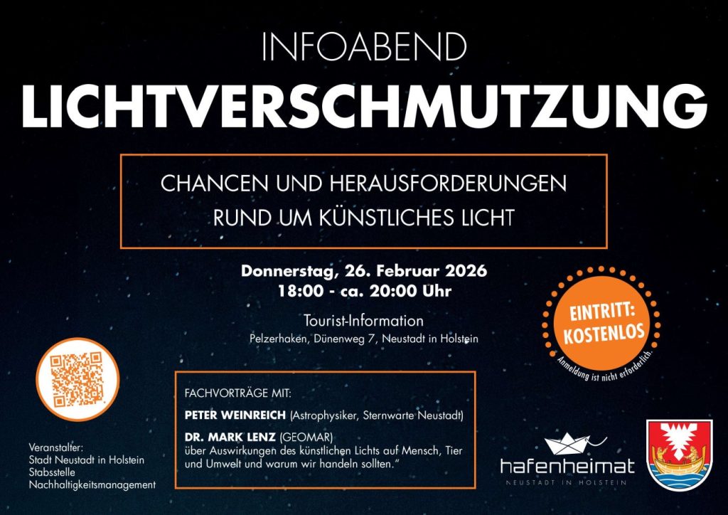 Plakat Lichtverschmutzung 2026 (1)