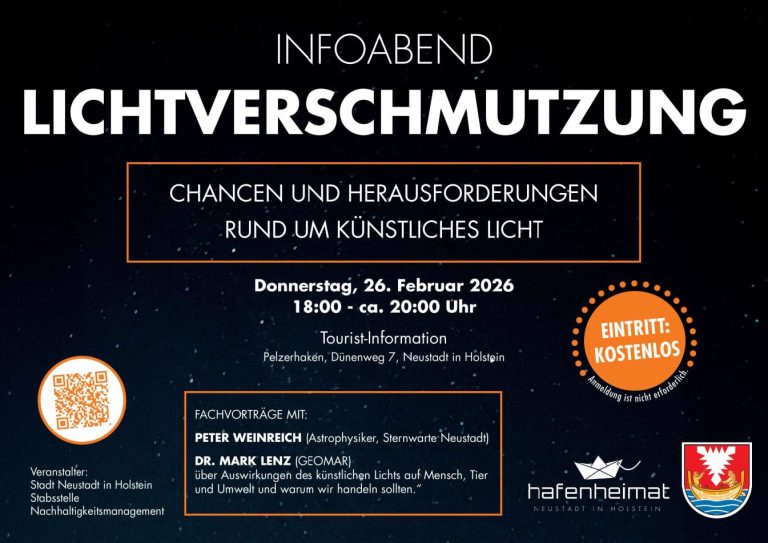 Plakat Lichtverschmutzung 2026 (1)