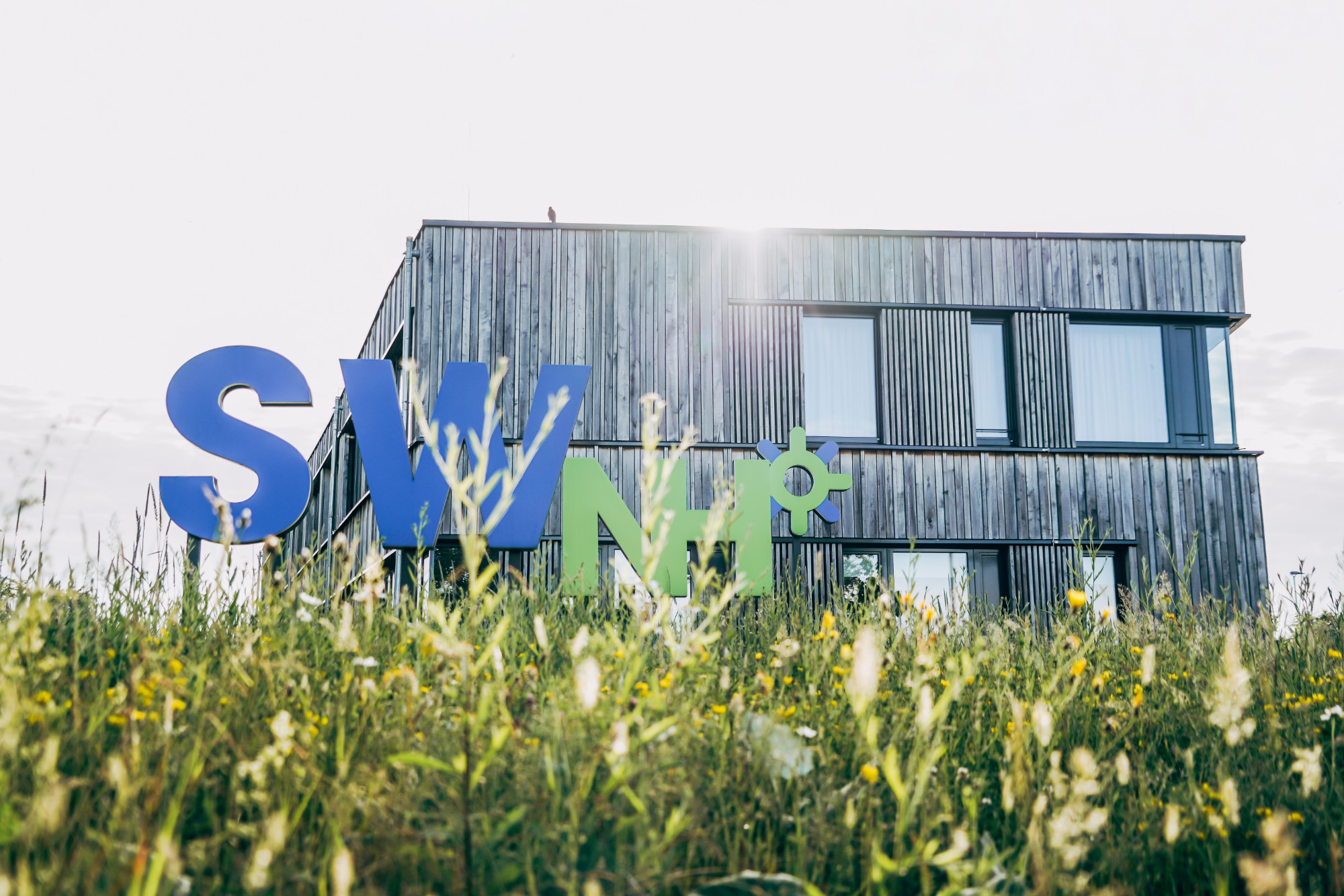 2022 08 30 Neukoppel Blumenwiese ©Eichert Media